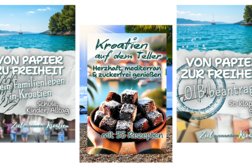 Website Bücher (2)